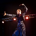 flamenco (102)